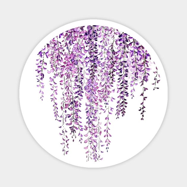 purple wisteria in bloom Magnet by colorandcolor